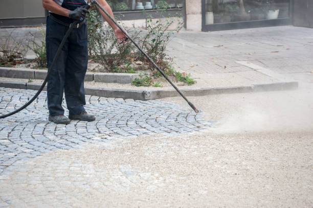 Best Residential Exterior Washing  in Elephant Butte, NM